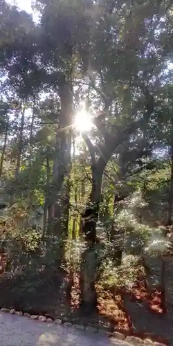 伊勢神宮外宮（豊受大神宮）(三重県)