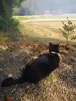 高司神社〜むすびの神の鎮まる社〜(福島県)