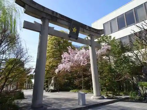 晴明神社の鳥居