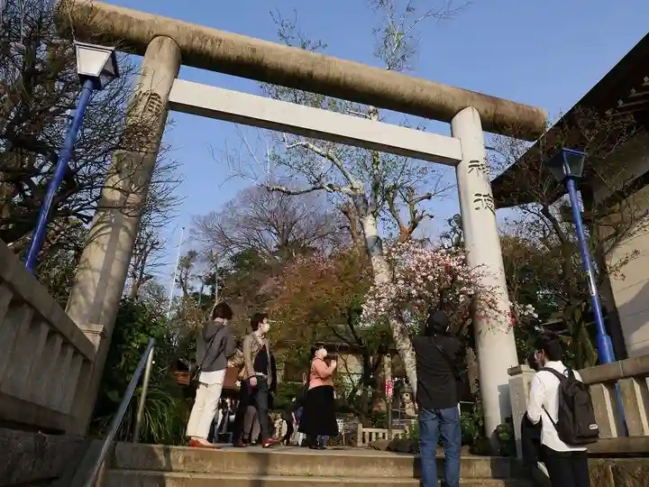 五條天神社の鳥居