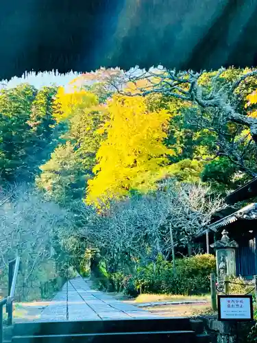東慶寺(神奈川県)