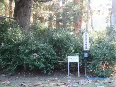 普門院(山形県)