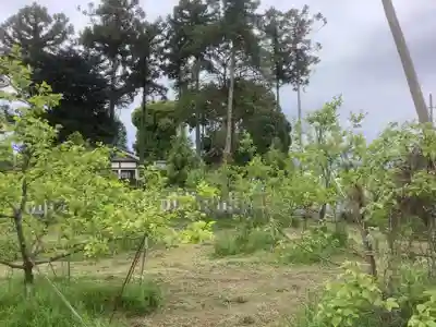 五里神社の自然