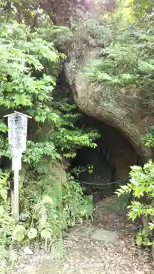 秋葉總本殿可睡斎の自然