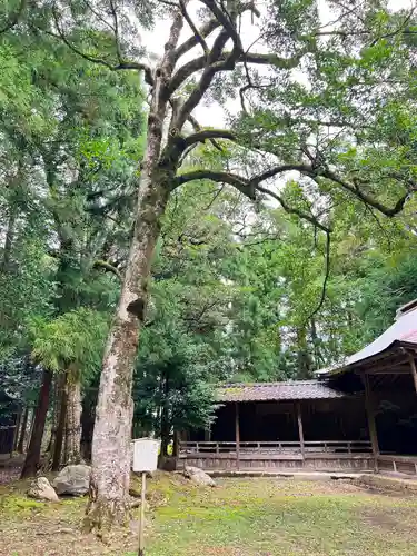 若狭姫神社（若狭彦神社下社）(福井県)