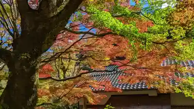 寂光院(京都府)