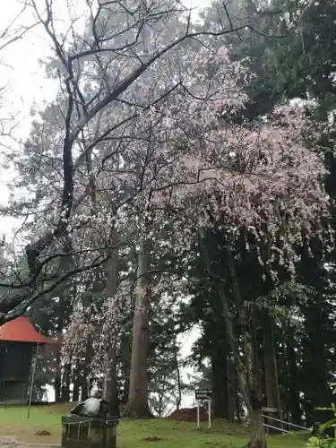 盛岡天満宮の自然