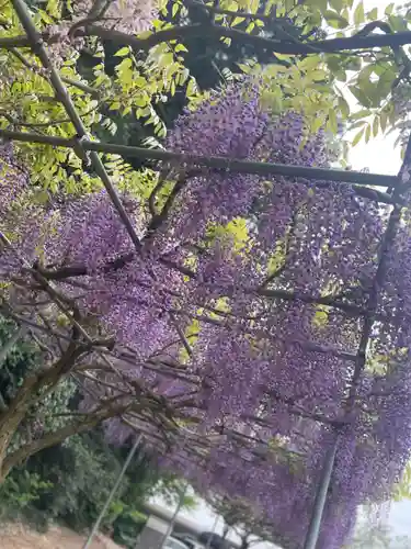 大生郷天満宮(茨城県)