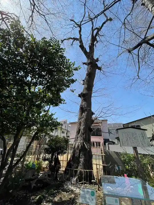 戸越八幡神社(東京都)
