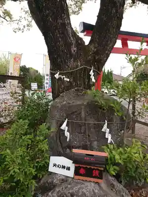 代継宮のその他建物