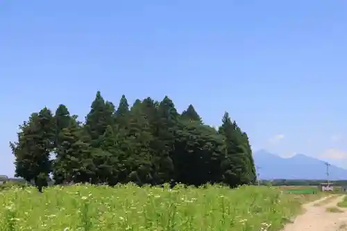岩上神社の景色