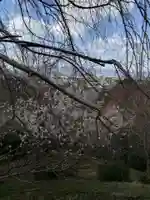 久延彦神社の自然