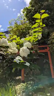 宝蔵寺(京都府)