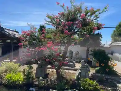 歓喜院(兵庫県)