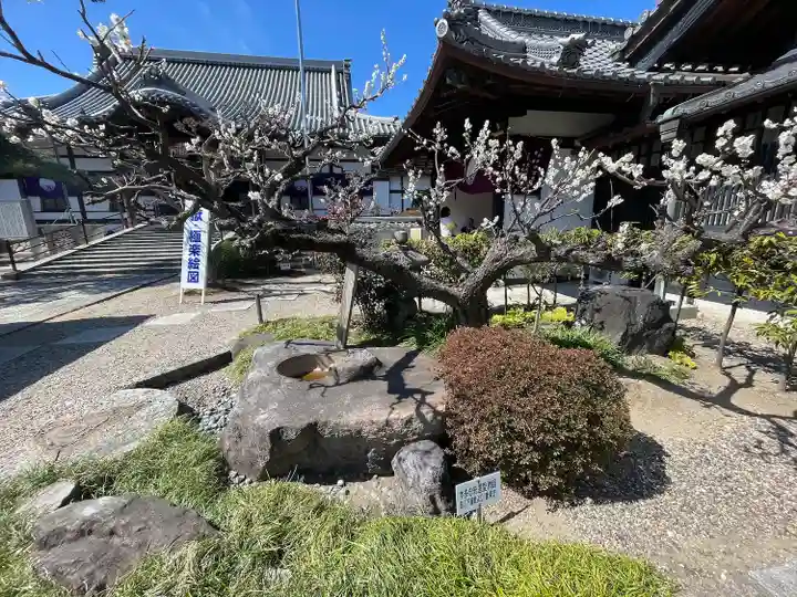 龍光寺(三重県)