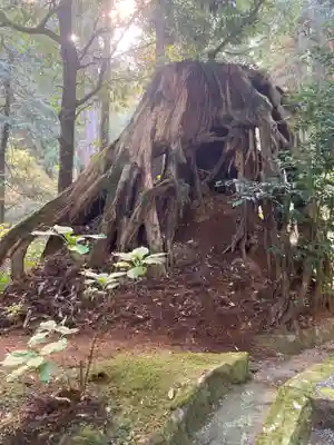 最乗寺（道了尊）(神奈川県)
