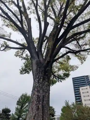 正光寺(東京都)