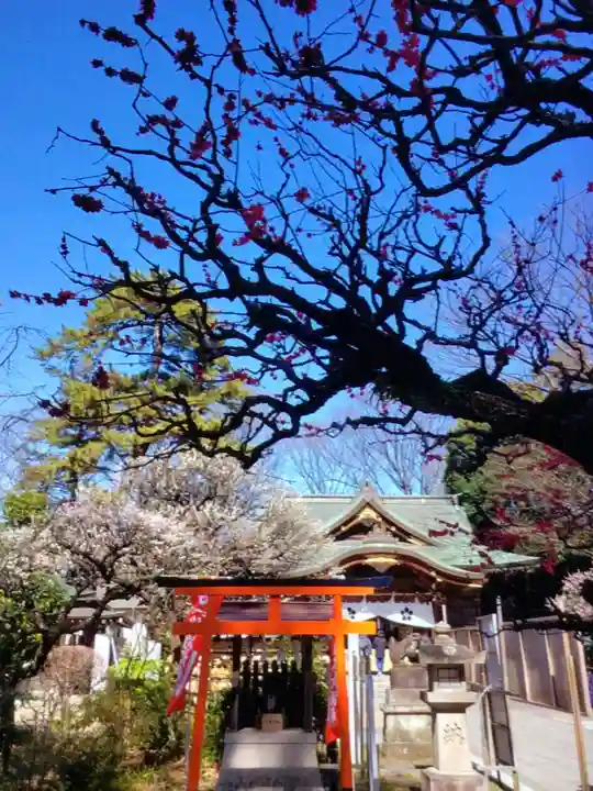 布多天神社(東京都)