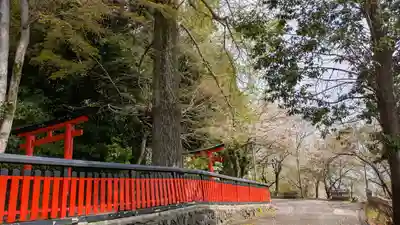 観音寺（山崎聖天）(京都府)