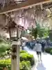 金蛇水神社(宮城県)