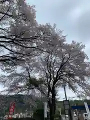 宮原八幡宮の自然