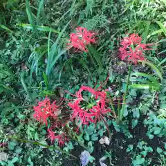 天台宗　長窪山　正覚寺の自然