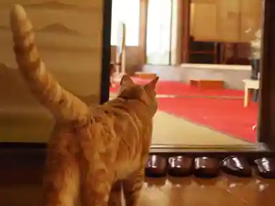 天王山 安楽寺(福井県)