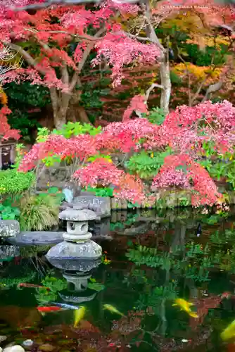 長谷寺(神奈川県)