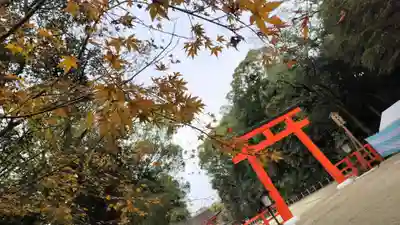 賀茂御祖神社（下鴨神社）(京都府)