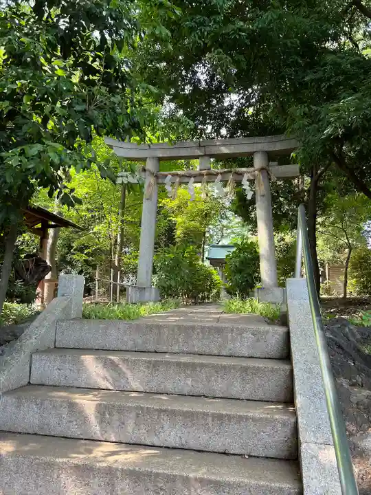 八雲氷川神社の鳥居