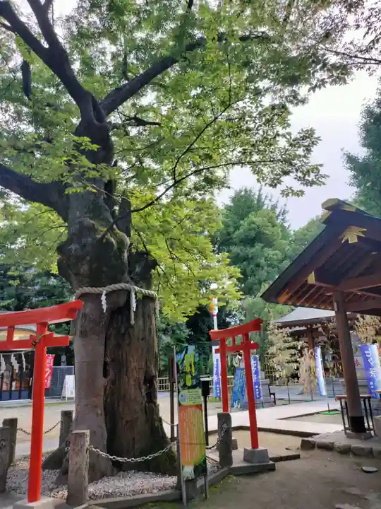 新田神社(東京都)
