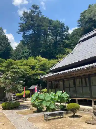 臨済寺の本殿・本堂