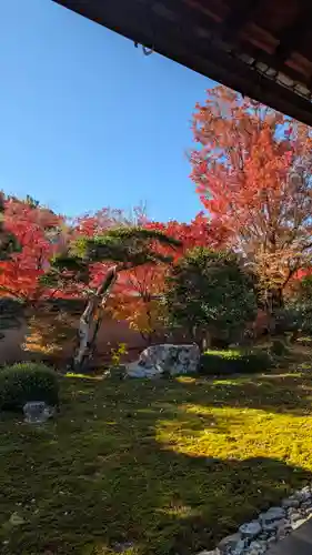 天得院(京都府)