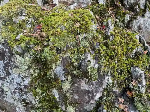 大悲閣千光寺(京都府)