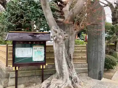 真光寺(神奈川県)