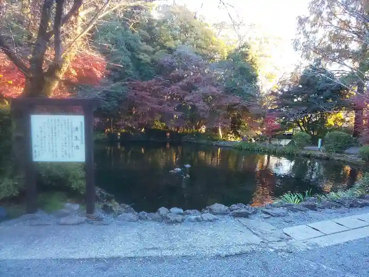 富士山本宮浅間大社(静岡県)