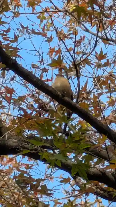 宝蔵寺(京都府)