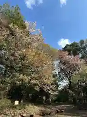 霞神社(東京都)