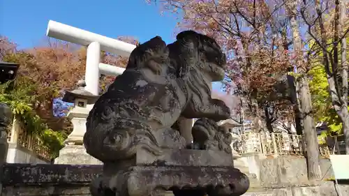 安積國造神社の狛犬