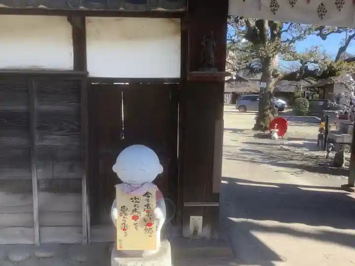 四季桜の寺 妙乗院の山門・神門