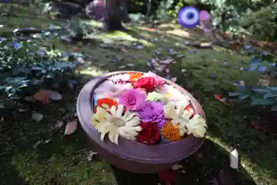 勝林寺(京都府)