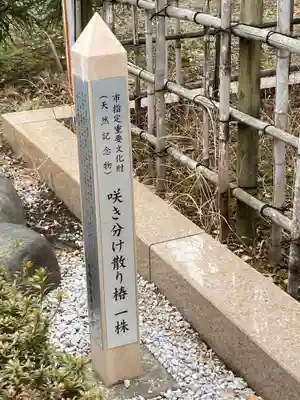 星谷寺(神奈川県)