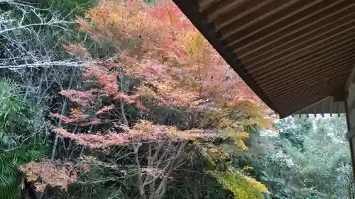 安房高野山妙音院(千葉県)