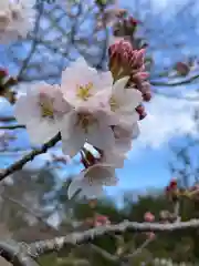 大生郷天満宮の自然