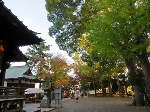 篠原八幡神社のその他建物