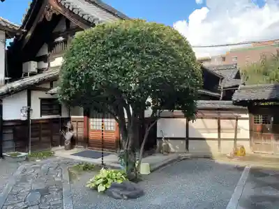 宝樹寺(京都府)