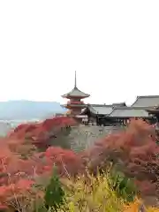 清水寺(京都府)