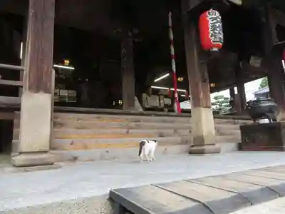 智恩寺(京都府)