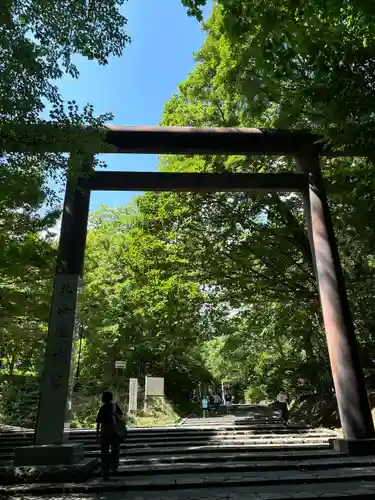 北海道神宮の鳥居