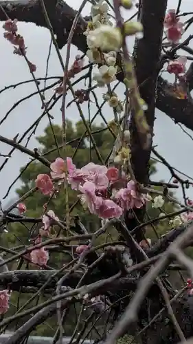 正法寺(京都府)